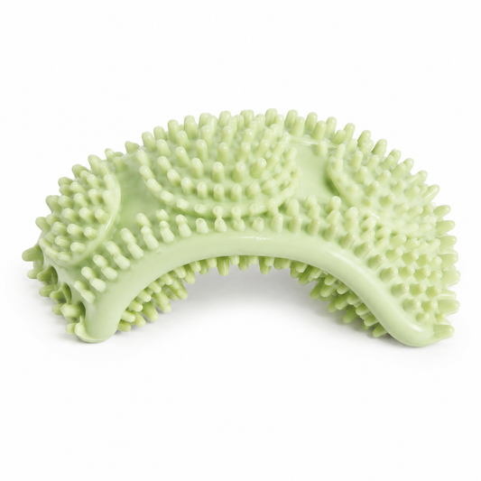 Worapet Dental Chew Toy for Dogs